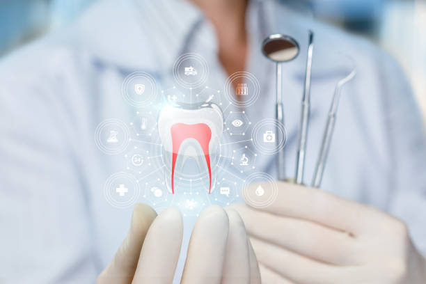 Professional Holistic Dental Care Services in Upper Saddle River, NJ